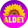 Logo ALDET